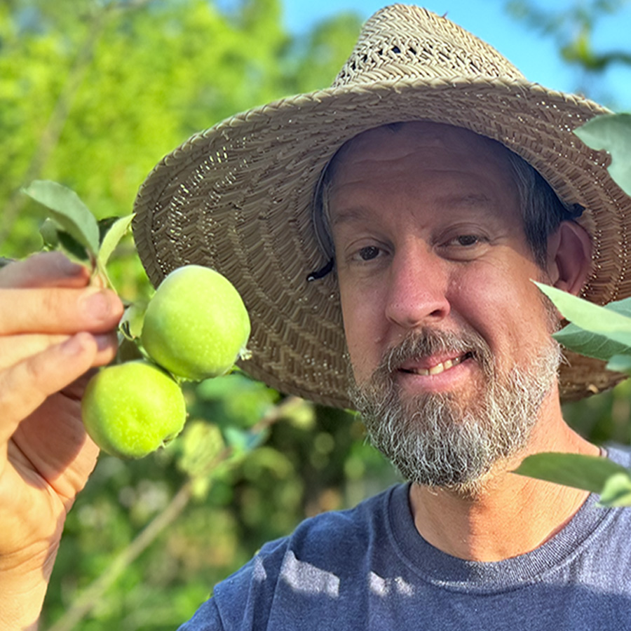 Mysterious Apple: Which one is it?