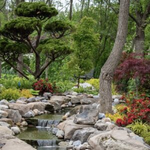 Planting plan for a woodland garden full of texture