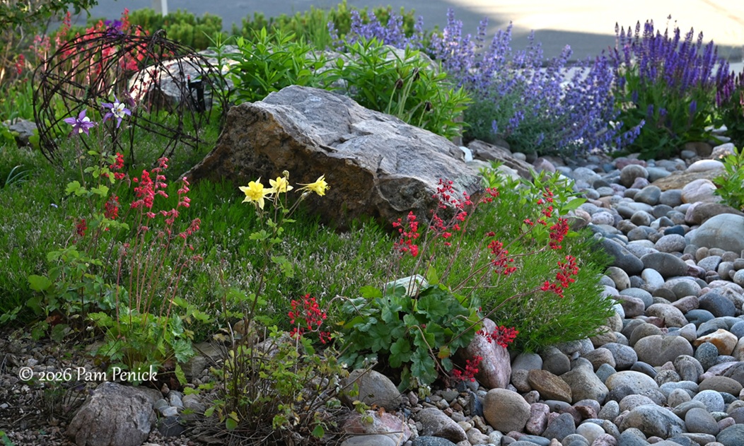 Ryan and Alison's rock garden blooms in Castle Rock