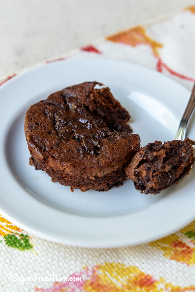 Sugar-free, flour-free, high protein brownie mug cake