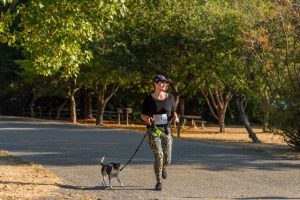 The relationship between running, working out, and taking your dog with you