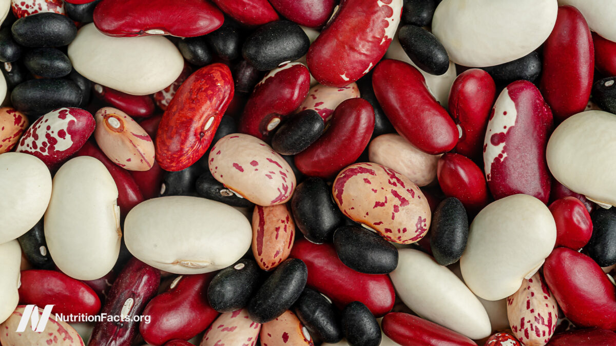 Which beans most effectively stop the spread of cancer?