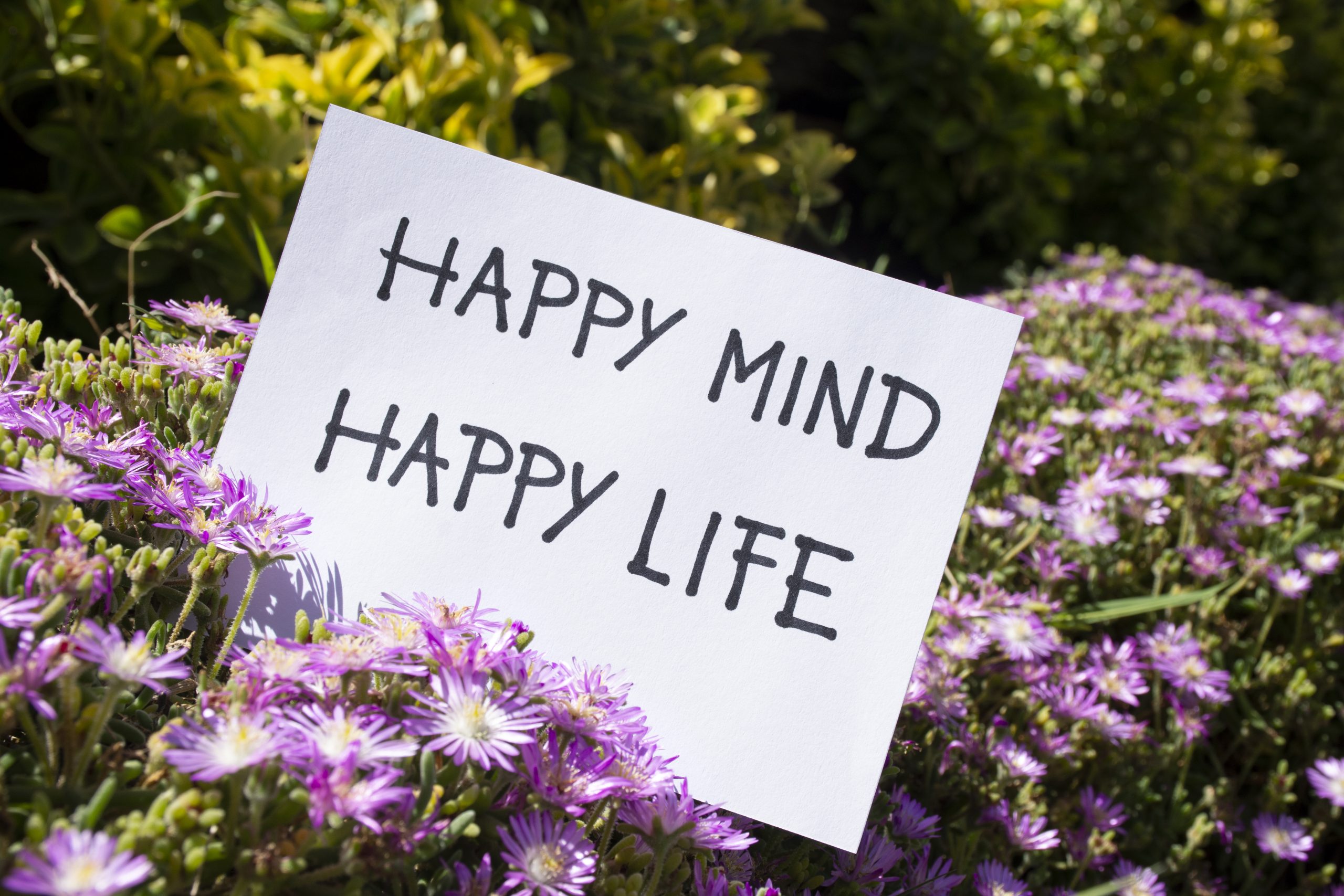 Affirmations vs. Mindfulness: How They Complement Each Other
