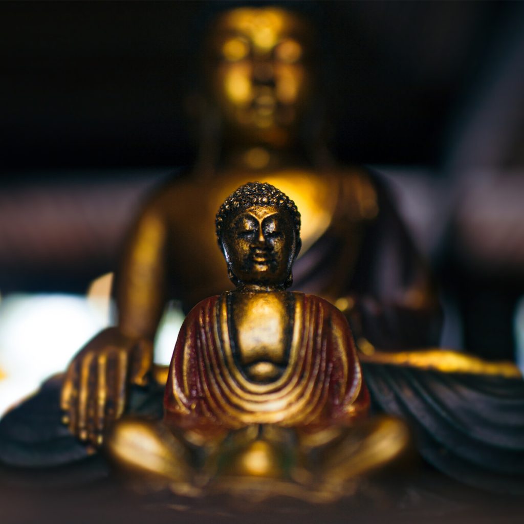 BHNN Guest Podcast – Episode 263 – A sermon from 50 years of Buddhist practice with Gil Fronsdal