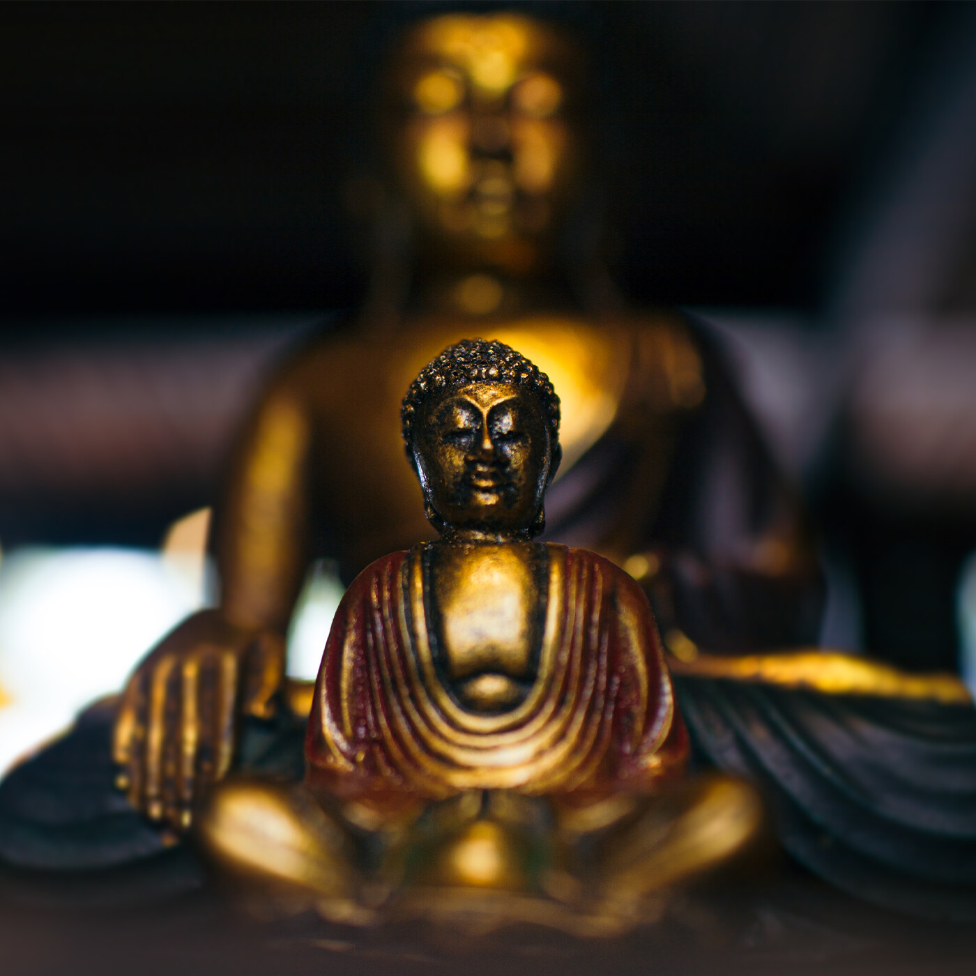 BHNN Guest Podcast – Episode 263 – A sermon from 50 years of Buddhist practice with Gil Fronsdal