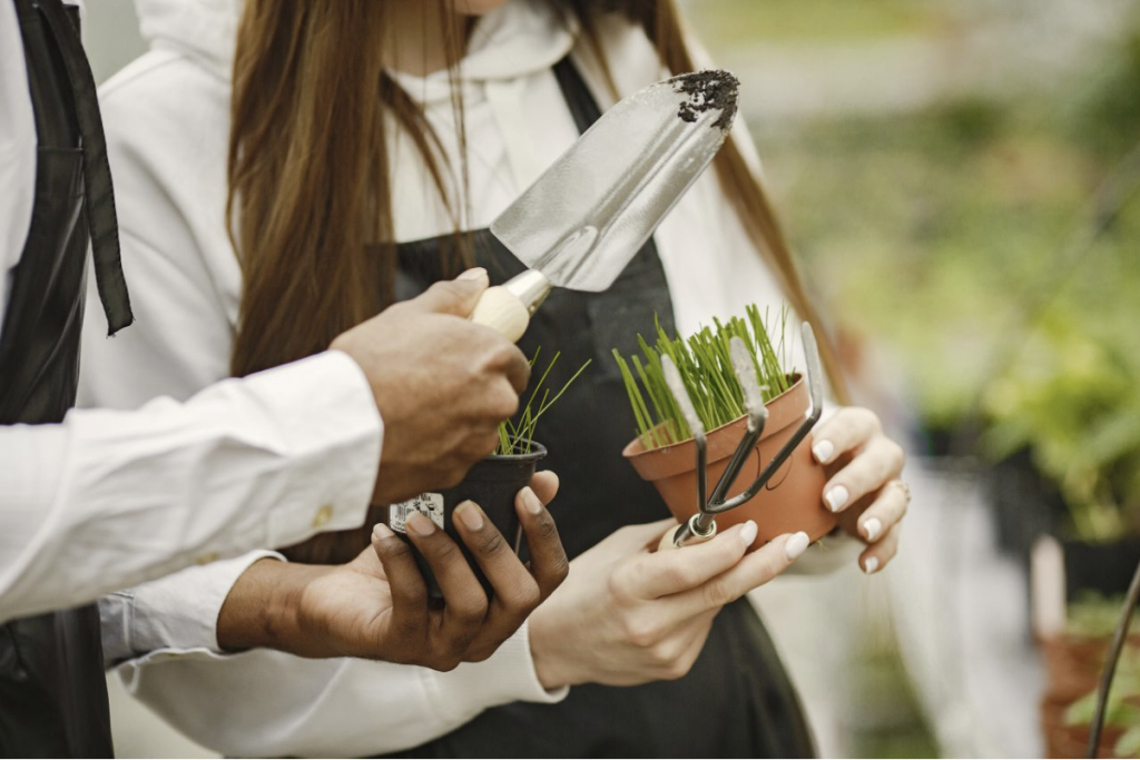 Basic garden maintenance