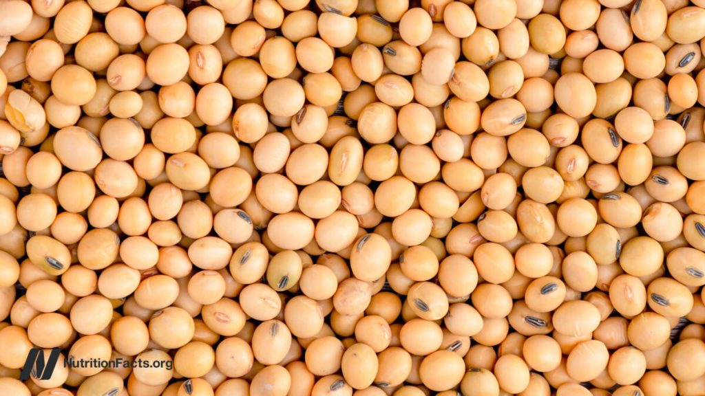 Does low protein intake increase FGF21 and lead to longevity?