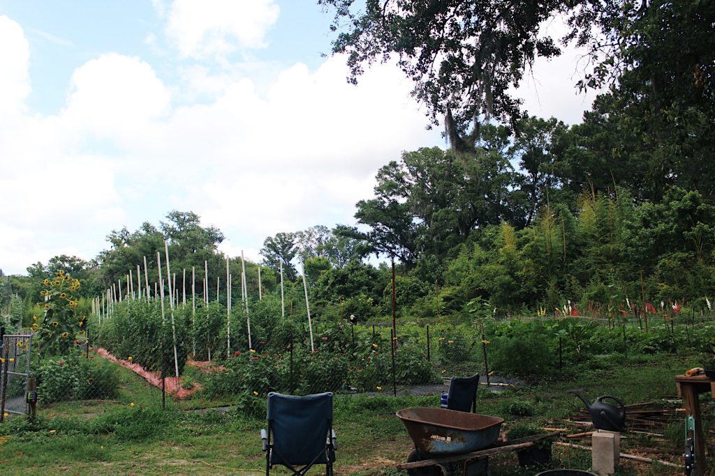 Easy DIY ideas to improve your garden space