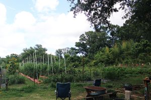 Easy DIY ideas to improve your garden space