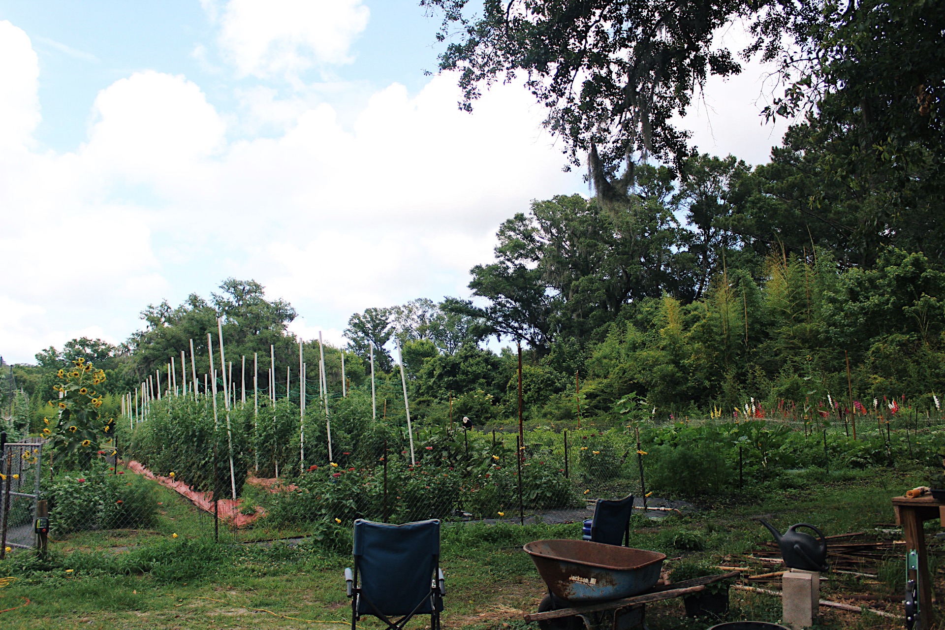 Easy DIY ideas to improve your garden space