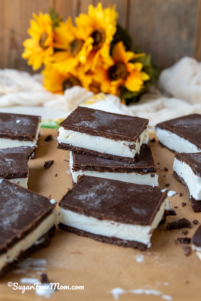 Easy No Bake Low Carb Keto Ice Cream Sandwich Recipe