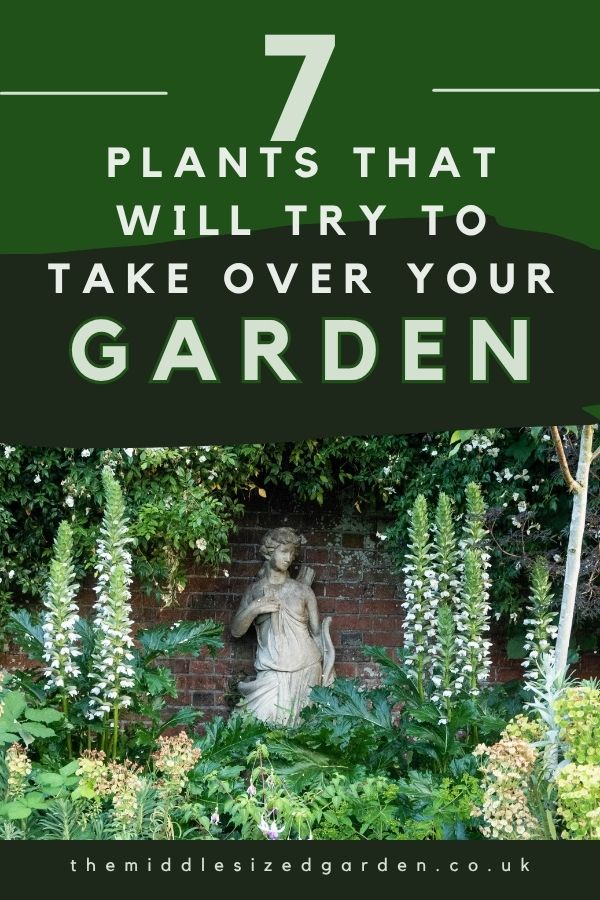 Garden thugs – the best, the worst, and the ones to avoid!