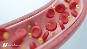 How just one meal can cause your arteries and lungs to malfunction