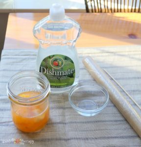 How to quickly get rid of fruit flies using a simple DIY fly trap