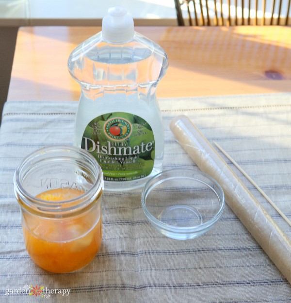 How to quickly get rid of fruit flies using a simple DIY fly trap
