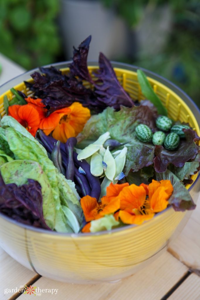 How to start a neighborhood fruit and vegetable swap