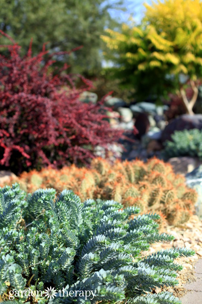 Landscaping for drought: Inspiring gardens that save water