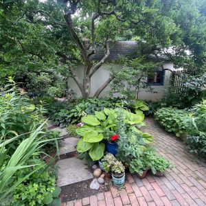 Lucrecia's Garden in Pennsylvania