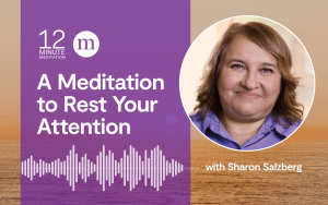Meditation to calm your attention