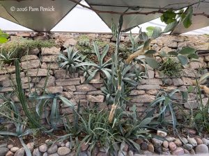 Pueblo Open Day: Midway Xeric Gardens Loves Chaos