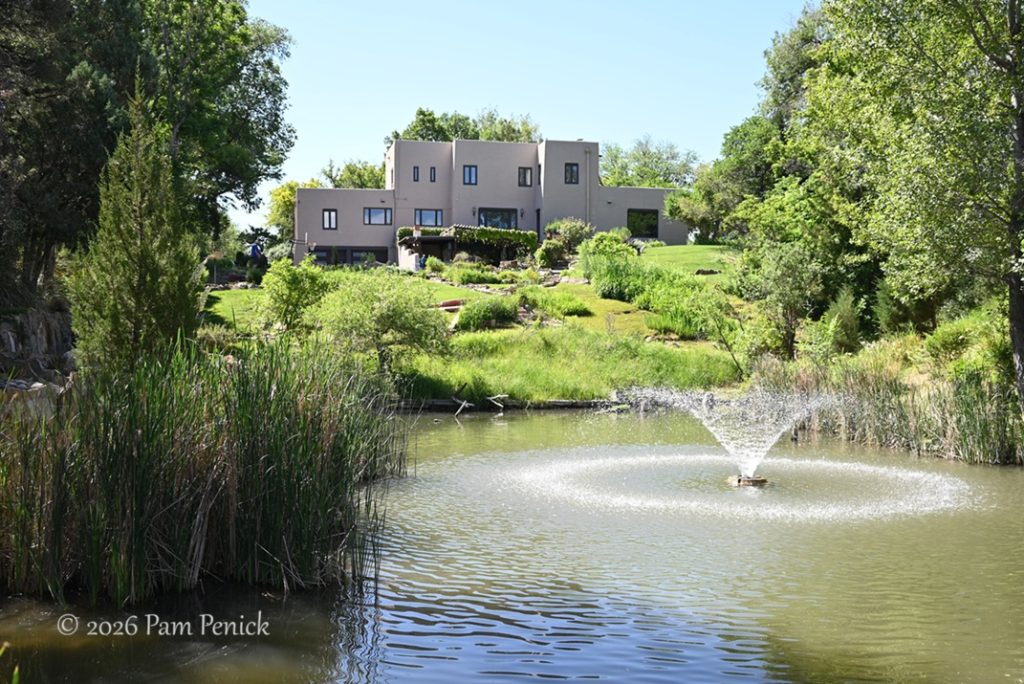 Pueblo Open Days: Wetland meets xeriscape at Conrad Family Garden
