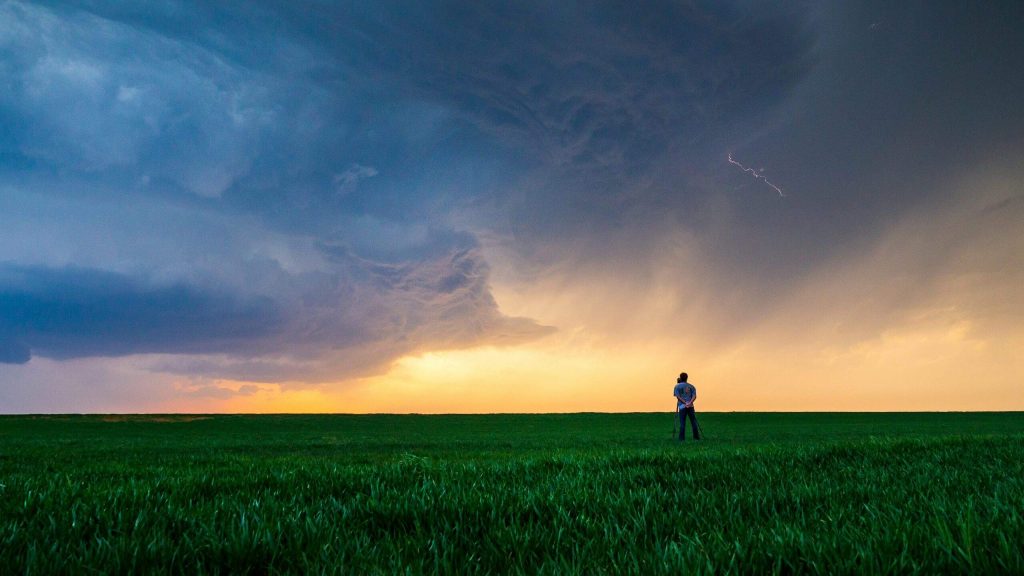 Reprogramming panic: choosing conscious response over avoidance
