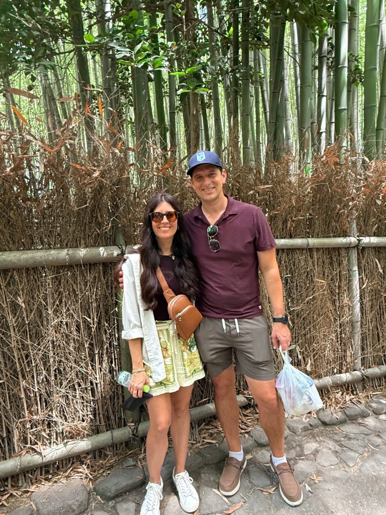 Summary of Kyoto, bamboo forest, monkey park