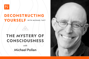 The Mystery of Consciousness by Michael Pollan