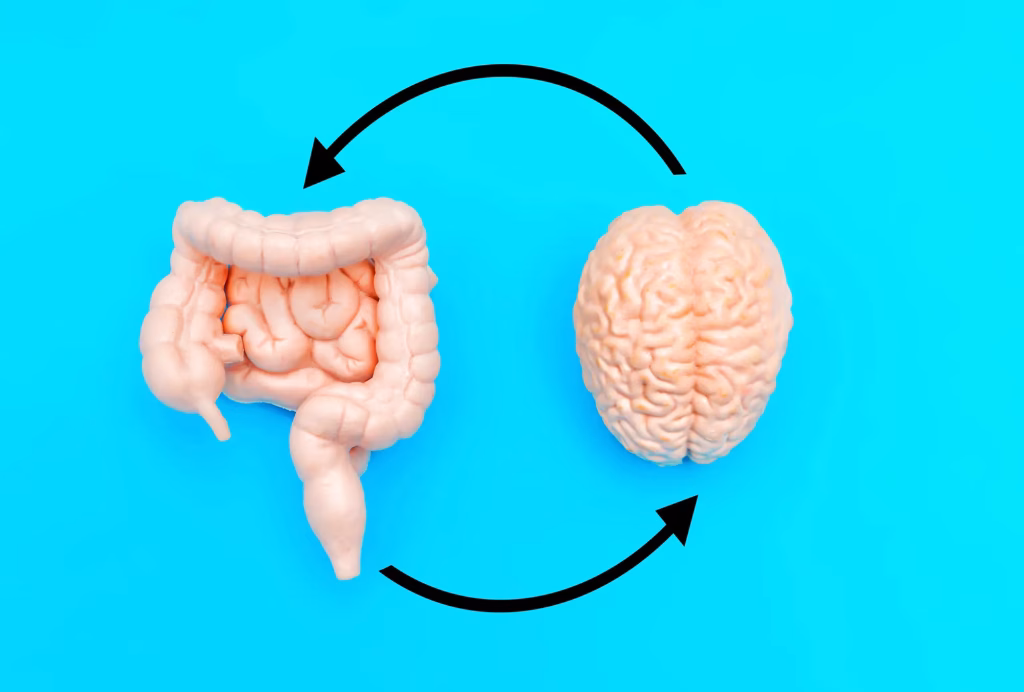 The gut-brain axis: How the microbiome affects mood and mental health