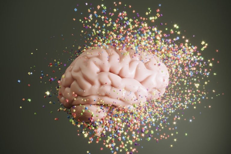 What Neuroscientists Eat a Day for Cognitive Health